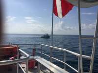 Great day of scuba diving in Key Largo with Rainbow Reef on benwood wreck tropical legend 2018 06 23 r6286 1