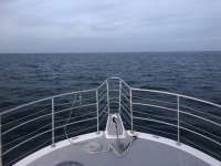 Great day of scuba diving in Key Largo with Rainbow Reef on benwood wreck tropical odyssey 2018 06 16 r6214 1