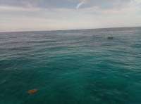 Great day of scuba diving in Key Largo with Rainbow Reef on benwood wreck tropical voyager 2018 06 12 r6152 1