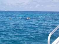 Great day of scuba diving in Key Largo with Rainbow Reef on captains choice santana 2018 06 24 r6307 1