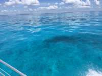 Great day of scuba diving in Key Largo with Rainbow Reef on christ statue tropical destiny 2018 06 07 r6107 1