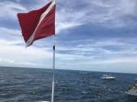 Great day of scuba diving in Key Largo with Rainbow Reef on christ statue tropical odyssey 2018 06 01 r6030 1