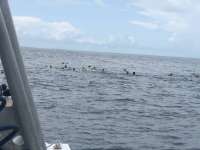 Great day of scuba diving in Key Largo with Rainbow Reef on christ statue tropical odyssey 2018 06 25 r6317 1