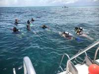 Great day of scuba diving in Key Largo with Rainbow Reef on christ statue tropical serenity 2018 06 12 r6154 1