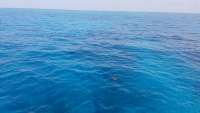 Great day of scuba diving in Key Largo with Rainbow Reef on christmastree cave santana 2018 06 16 r6206 1