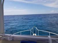 Great day of scuba diving in Key Largo with Rainbow Reef on christmastree cave santana 2018 06 25 r6314 1