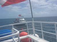 Great day of scuba diving in Key Largo with Rainbow Reef on christmastree cave tropical adventure 2018 06 26 r6322 1