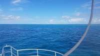 Great day of scuba diving in Key Largo with Rainbow Reef on christmastree cave tropical legend 2018 06 03 r6056 1