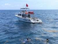 Great day of scuba diving in Key Largo with Rainbow Reef on christmastree cave tropical legend 2018 06 30 r6370 1