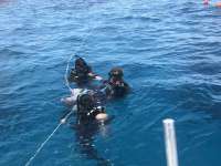 Great day of scuba diving in Key Largo with Rainbow Reef on christmastree cave tropical odyssey 2018 06 15 r6193 1