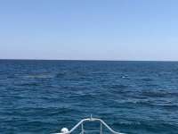 Great day of scuba diving in Key Largo with Rainbow Reef on christmastree cave tropical odyssey 2018 06 22 r6280 1