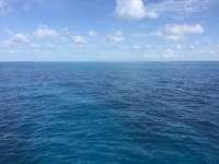 Great day of scuba diving in Key Largo with Rainbow Reef on christmastree cave tropical serenity 2018 06 22 r6274 1