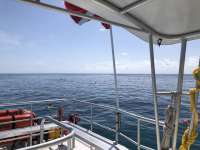 Great day of scuba diving in Key Largo with Rainbow Reef on christmastree cave tropical serenity 2018 06 27 r6332 1