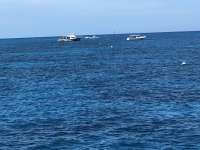 Great day of scuba diving in Key Largo with Rainbow Reef on city of washington tropical adventure 2018 06 02 r6048 1