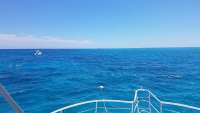 Great day of scuba diving in Key Largo with Rainbow Reef on city of washington tropical legend 2018 06 04 r6075 1