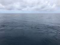 Great day of scuba diving in Key Largo with Rainbow Reef on conch wall tropical odyssey 2018 06 13 r6177 1