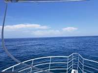 Great day of scuba diving in Key Largo with Rainbow Reef on conch wall tropical odyssey 2018 06 27 r6336 1