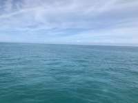 Great day of scuba diving in Key Largo with Rainbow Reef on crf nursery tropical voyager 2018 06 02 r6047 1