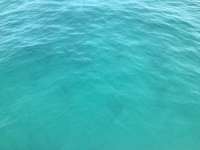 Great day of scuba diving in Key Largo with Rainbow Reef on crf nursery tropical voyager 2018 06 02 r6047 2