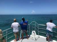 Great day of scuba diving in Key Largo with Rainbow Reef on double north tropical odyssey 2018 06 26 r6326 1