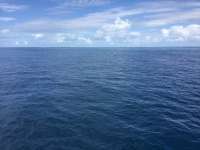 Great day of scuba diving in Key Largo with Rainbow Reef on drift french tropical destiny 2018 06 03 r6057 1