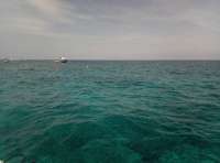 Great day of scuba diving in Key Largo with Rainbow Reef on drift molasses tropical destiny 2018 06 15 r6197 1