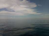 Great day of scuba diving in Key Largo with Rainbow Reef on drift molasses tropical explorer 2018 06 24 r6303 1
