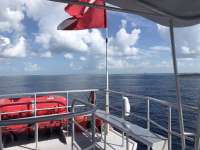Great day of scuba diving in Key Largo with Rainbow Reef on drift molasses tropical odyssey 2018 06 28 r6342 1
