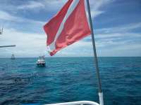 Great day of scuba diving in Key Largo with Rainbow Reef on eagle ray alley tropical adventure 2018 06 01 r6027 1