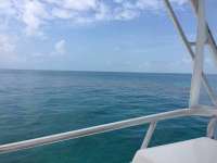 Great day of scuba diving in Key Largo with Rainbow Reef on eagle ray alley tropical legend 2018 06 07 r6104 1