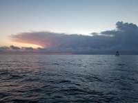 Great day of scuba diving in Key Largo with Rainbow Reef on eagle ray alley tropical legend 2018 06 26 r6328 1
