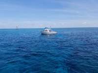 Great day of scuba diving in Key Largo with Rainbow Reef on eagle ray alley tropical legend 2018 06 29 r6352 1