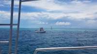 Great day of scuba diving in Key Largo with Rainbow Reef on eagle ray alley tropical odyssey 2018 06 12 r6155 1