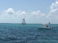 Great day of scuba diving in Key Largo with Rainbow Reef on eagle ray alley tropical serenity 2018 06 06 r6094 1