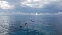 Great day of scuba diving in Key Largo with Rainbow Reef on eagle ray alley tropical serenity 2018 06 11 r6144 1