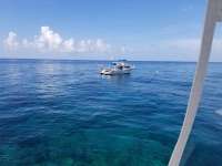 Great day of scuba diving in Key Largo with Rainbow Reef on eagle ray alley tropical serenity 2018 06 28 r6339 1