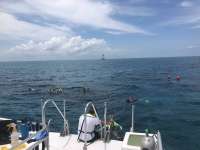 Great day of scuba diving in Key Largo with Rainbow Reef on fire coral cave tropical legend 2018 06 20 r6259 1