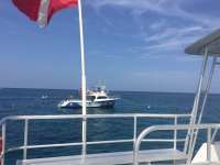 Great day of scuba diving in Key Largo with Rainbow Reef on fire coral cave tropical legend 2018 06 23 r6297 1