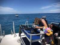 Great day of scuba diving in Key Largo with Rainbow Reef on fire coral cave tropical serenity 2018 06 03 r6065 1