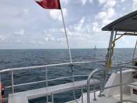 Great day of scuba diving in Key Largo with Rainbow Reef on fire coral cave tropical serenity 2018 06 18 r6233 1
