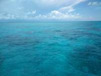 Great day of scuba diving in Key Largo with Rainbow Reef on french deep tropical adventure 2018 06 27 r6333 1