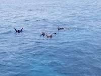 Great day of scuba diving in Key Largo with Rainbow Reef on french twist tropical odyssey 2018 06 23 r6293 1