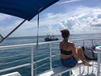 Great day of scuba diving in Key Largo with Rainbow Reef on hole in the wall tropical adventure 2018 06 28 r6343 1