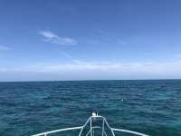 Great day of scuba diving in Key Largo with Rainbow Reef on minnow cave tropical adventure 2018 06 08 r6117 1