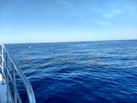 Great day of scuba diving in Key Largo with Rainbow Reef on minnow cave tropical odyssey 2018 06 03 r6063 1
