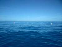 Great day of scuba diving in Key Largo with Rainbow Reef on molasses deep tropical explorer 2018 06 02 r6036 1
