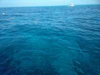 Great day of scuba diving in Key Largo with Rainbow Reef on molasses deep tropical voyager 2018 06 15 r6191 1