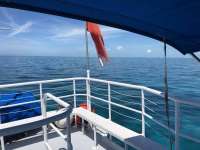 Great day of scuba diving in Key Largo with Rainbow Reef on molasses reef tropical adventure 2018 06 02 r6040 1