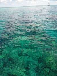 Great day of scuba diving in Key Largo with Rainbow Reef on molasses reef tropical adventure 2018 06 13 r6163 1