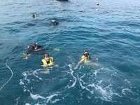 Great day of scuba diving in Key Largo with Rainbow Reef on molasses reef tropical adventure 2018 06 15 r6202 1